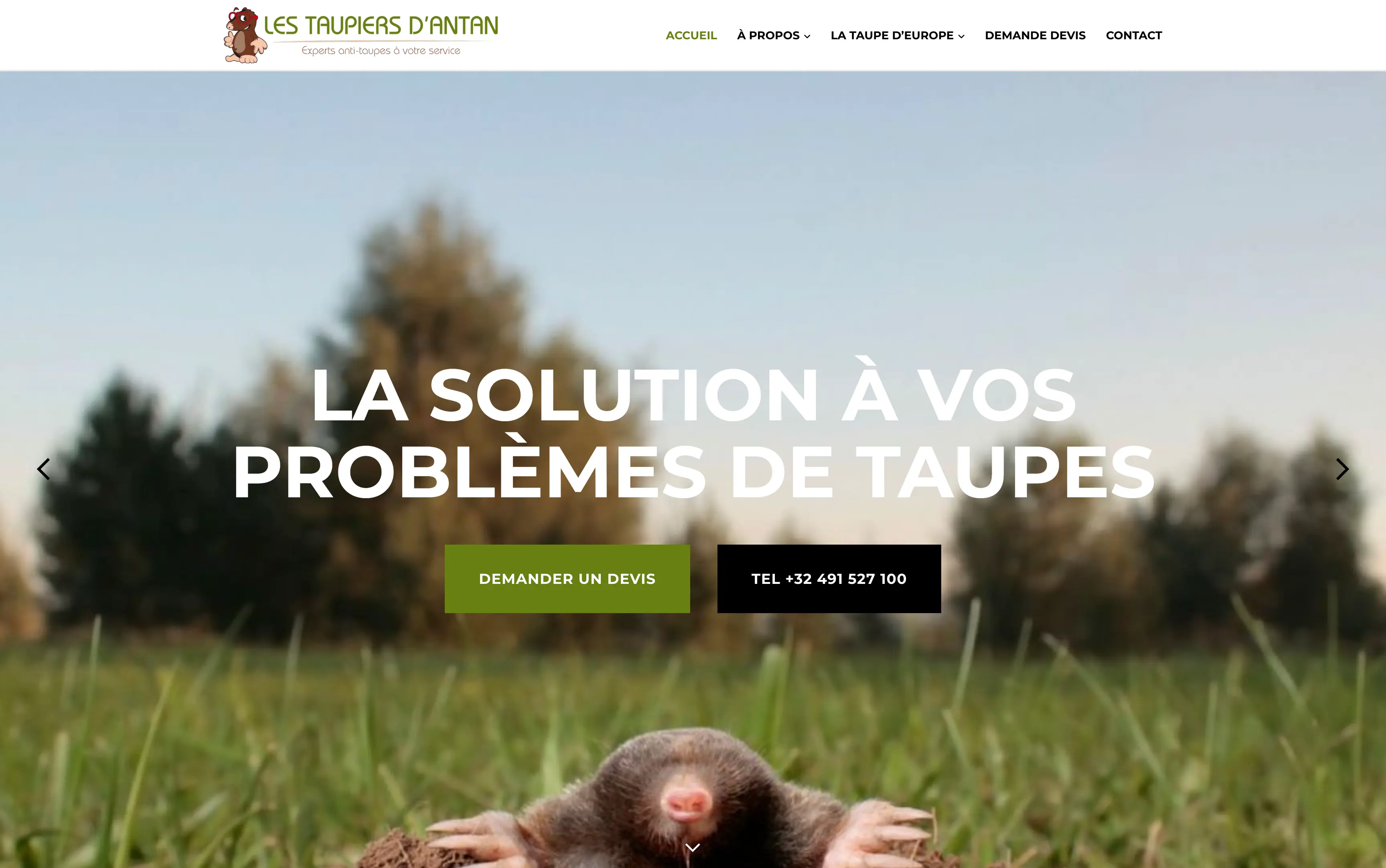 Les Taupiers d’Antan